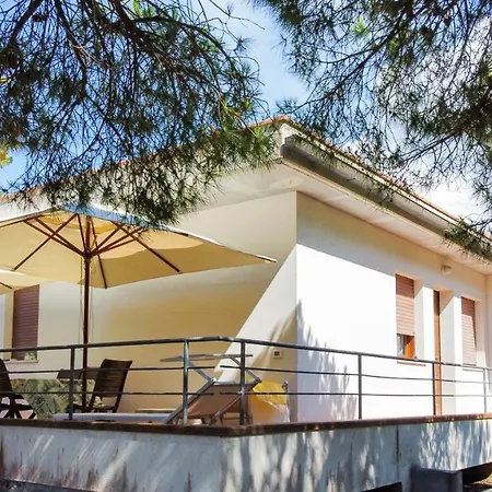 Verde * Procchio (Isola d'Elba)