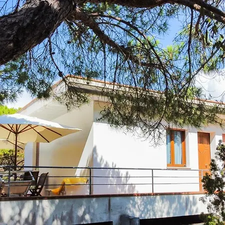 Verde Daire