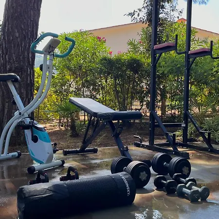 Verde Procchio (Isola d'Elba)